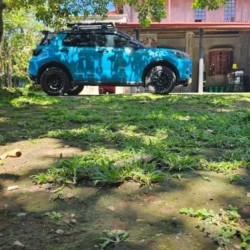 Car gallery image 2