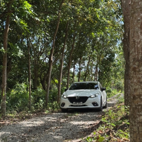 3 Pearl Mazda 3 thumbnail