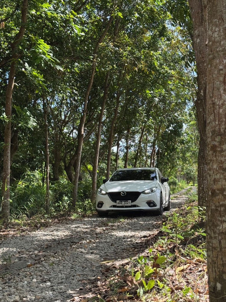 3 Pearl Mazda 3 thumbnail