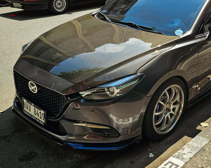 Carbon fiber hood